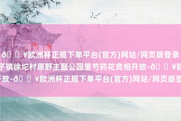 🔥欧洲杯正规下单平台(官方)网站/网页版登录入口/手机版东港市北井子镇徐坨村原野主题公园里芍药花竞相开放-🔥欧洲杯正规下单平台(官方)网站/网页版登录入口/手机版