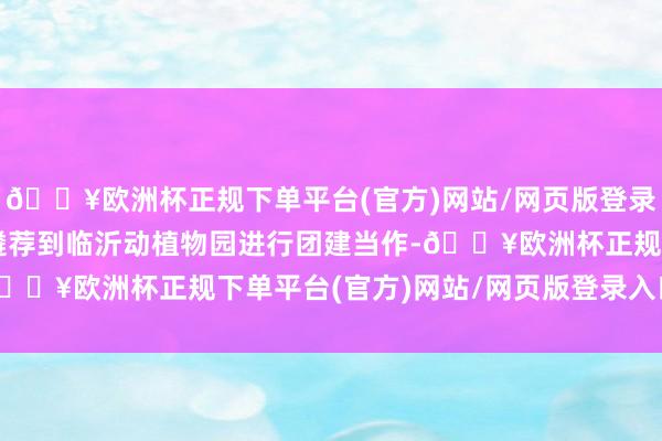 🔥欧洲杯正规下单平台(官方)网站/网页版登录入口/手机版咱们不错遴荐到临沂动植物园进行团建当作-🔥欧洲杯正规下单平台(官方)网站/网页版登录入口/手机版