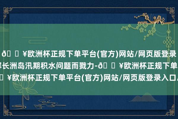 🔥欧洲杯正规下单平台(官方)网站/网页版登录入口/手机版便朝着破解长洲岛汛期积水问题而戮力-🔥欧洲杯正规下单平台(官方)网站/网页版登录入口/手机版